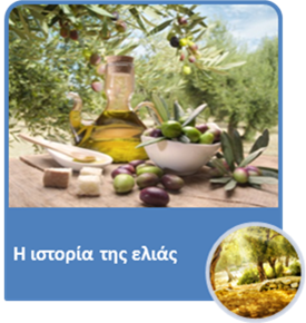 olive01