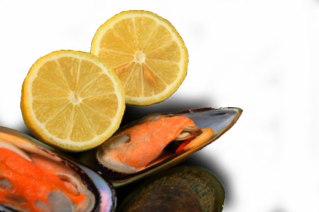 marine-sliced-lemon-delicious-meal 3326644